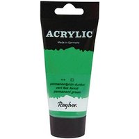 Rayher Acrylic Acrylfarben algengrün 75,0 ml von Rayher