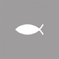 Rayher Motivlocher Fisch, 1 St. von Rayher