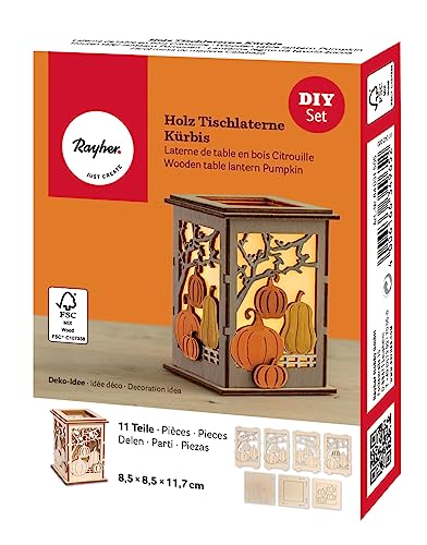 Rayher Holz Tischlaterne Kürbis, 8,5 x 8,5 x11,7 cm, Holzbausatz 11tlg, kleines Windlicht, für LED-Teelichter, Laterne, Holz FSC zertifiziert, 64031505, Natur Rayher Holz Tischlaterne Kürbis, 8,5 x 8,5 x11,7 cm, Holzbausatz 11tlg, kleines Windlicht, für LED-Teelichter, Laterne, Holz FSC zertifiziert, 64031505, Natur von Rayher