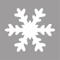 Rayher Motivlocher Schneeflocke, 1 St. von Rayher