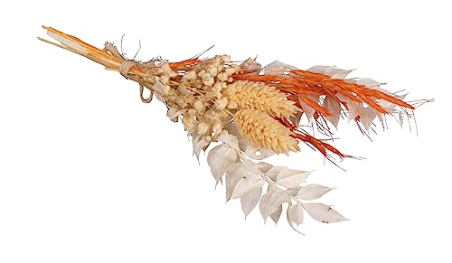 Rayher Trockenblumen-Strauß, orange/natur Töne, Mini-Strauß Trockenblumen, Bündel 18 – 20 cm, echte getrocknete Blumen, Trockenblumen Deko, 85491210 von Rayher