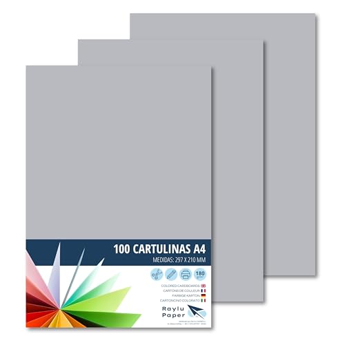 RAYLU PAPER – Tonpapier A4, 100 Stück Kartonpapier 180g/m², 210 x 297 mm, professionelle farbige Kartons für Büro, Kopierpapier, Buntes Papier zum Basteln (Hellgrau) von RAYLU PAPER