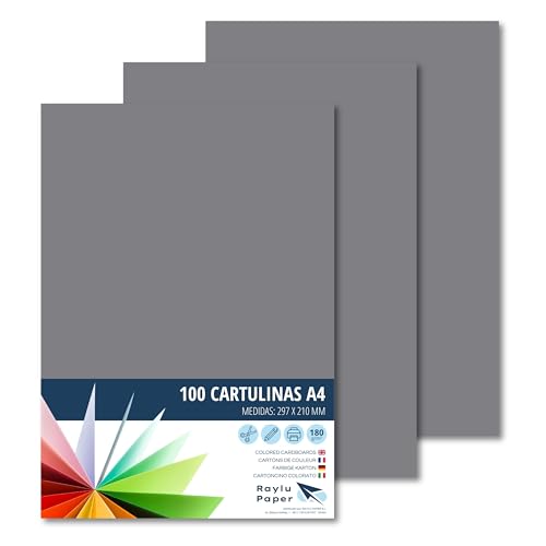 RAYLU PAPER – Tonpapier A4, 100 Stück Kartonpapier 180g/m², 210 x 297 mm, professionelle farbige Kartons für Büro, Kopierpapier, Buntes Papier zum Basteln (Dunkelgrau) von RAYLU PAPER