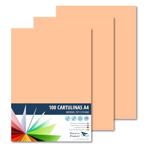 RAYLU PAPER – Tonpapier A4, 100 Stück Kartonpapier 180g/m², 210 x 297 mm, professionelle farbige Kartons für Büro, Kopierpapier, Buntes Papier zum Basteln (Hautfarben) von RAYLU PAPER