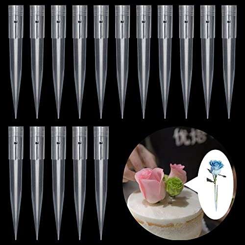 Rebanky 100 Stück Blumenröhrchen Torte Blumen Röhrchen Torten Blumenröhrchen Plastik für Blumen in Torten und Kuchen für Kuchendekoration 70 x 9 mm Rebanky 100 Stück Blumenröhrchen Torte Blumen Röhrchen Torten Blumenröhrchen Plastik für Blumen in Torten und Kuchen für Kuchendekoration 70 x 9 mm von Rebanky
