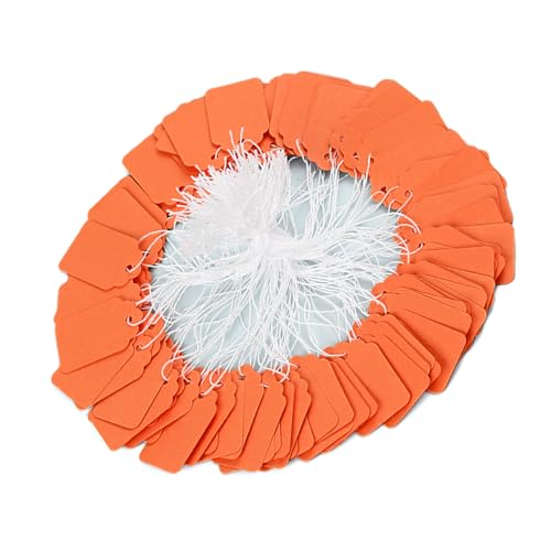 500pcs Preis Mit Stringpapierhängeschreibbares Display Etikett Für Schmuckbekleidung Einzelhandel Mit Stringpapier Hängen 500pcs Preis Mit Stringpapierhängeschreibbares Display Etikett Für Schmuckbekleidung Einzelhandel Mit Stringpapier Hängen von Rebellious