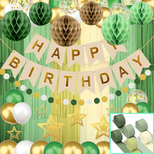 Geburtstag Vintage Grün Party Dekoration, Recosis Happy Birthday Banner Girlande mit Seidenpapier Pompoms und Luftballons für Mädchen und Jungen Jeden Alters von Recosis