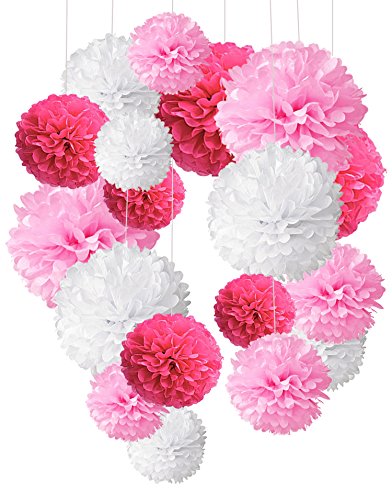 Recosis 18 Stück Seidenpapier Pompoms Blumen Ball Dekorpapier Kit für Geburtstag Hochzeit Baby Dusche Hauptdekorationen und Partei Dekoration-Rosa, Pink und Weiß Recosis 18 Stück Seidenpapier Pompoms Blumen Ball Dekorpapier Kit für Geburtstag Hochzeit Baby Dusche Hauptdekorationen und Partei Dekoration-Rosa, Pink und Weiß von Recosis