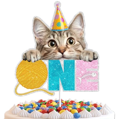 Katzen-Kuchendekoration, lustiger Papier-Kitty-Erster Geburtstag, Kuchendekoration, Katzengeburtstagskuchen, Partyhut, ideal zum Feiern Ihrer Katzenfreunde, besondere Meilensteine, perfekt für Katzen-Kuchendekoration, lustiger Papier-Kitty-Erster Geburtstag, Kuchendekoration, Katzengeburtstagskuchen, Partyhut, ideal zum Feiern Ihrer Katzenfreunde, besondere Meilensteine, perfekt für von RedLeLe