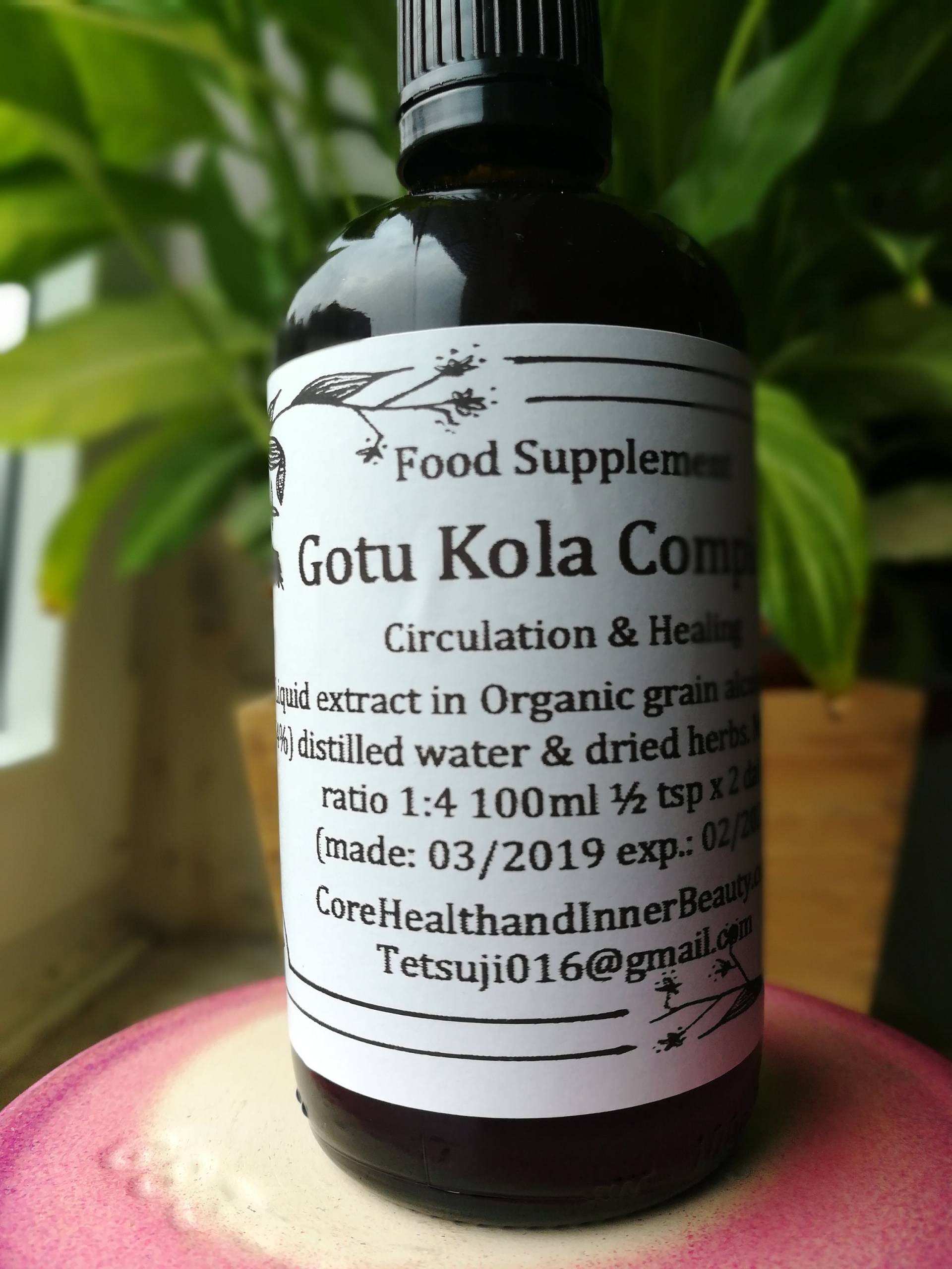 Gotu Kola Komplex - Fördert Die Durchblutung & Heilung von Reefgekko