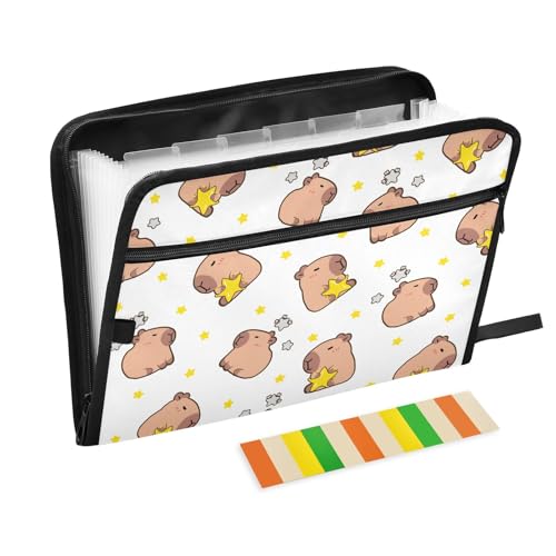 Capybara Fächermappe mit kleinen Sternen, mit Klebeetiketten, 13 Taschen, Akkordeon-Aktenordner, Dokumenten-Organizer mit Reißverschluss von Reiacy