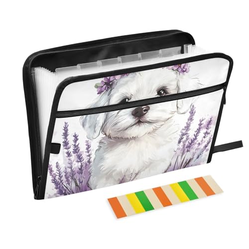 Fächermappe mit Klebeetiketten, 13 Taschen, Akkordeon-Aktenordner, Dokumenten-Organizer mit Reißverschluss, Weiß von Reiacy