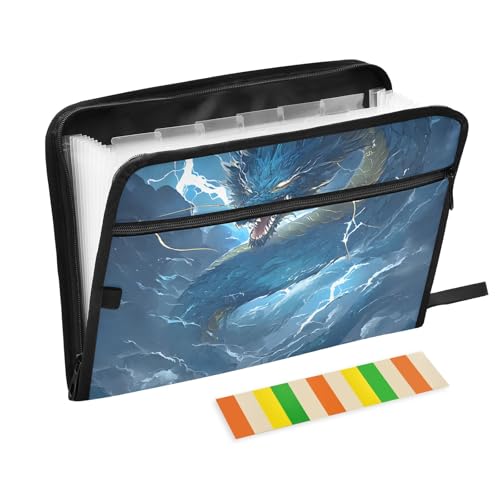The Dragon of Intimidation Fächermappe mit Klebeetiketten, 13 Taschen, Akkordeon-Aktenordner, Dokumenten-Organizer mit Reißverschluss von Reiacy