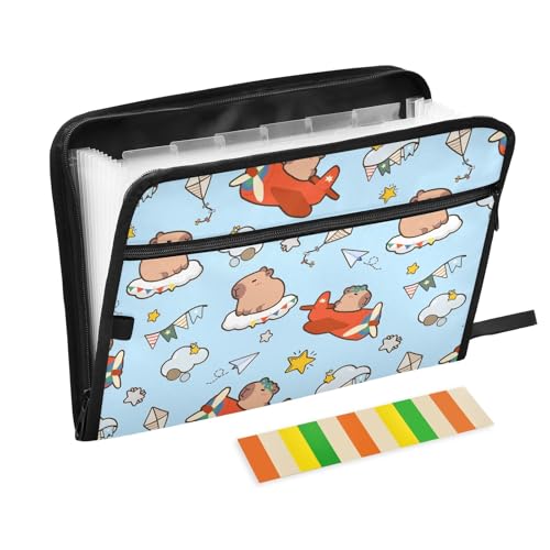 Zeichentrick-Dokumentenmappe mit Klebeetiketten, 13 Taschen, Akkordeon-Aktenordner, Dokumenten-Organizer mit Reißverschluss, Blau von Reiacy