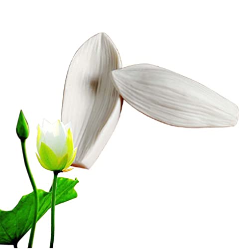 Reland Sun Große Pfingstrose, Rose, Tulpe, Orchidee, Blütenblätter, Ader, Silikonform, Zucker, Fondant, Kuchen (Lotusknospe) von Reland Sun