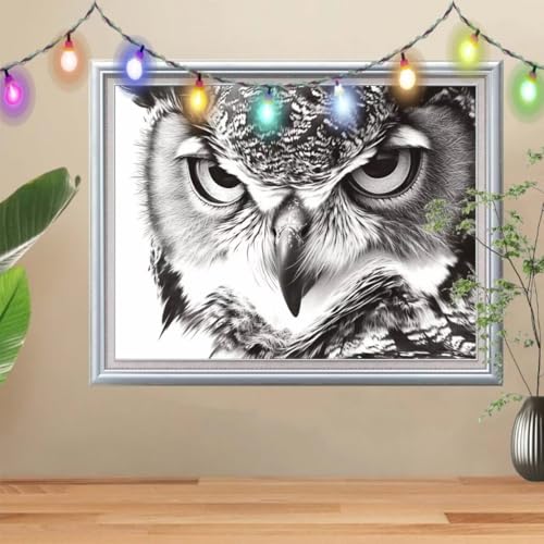 5D Diamond Painting Erwachsene Eule,DIY Vogel Diamant Painting Bilder Kinder 80x107cm,Crystal Strass Stickerei Painting Diamant Malerei Kit,Diamant Crystal Arts Craft für Geschenk Wand Decor 57H-2857 von Reluehu