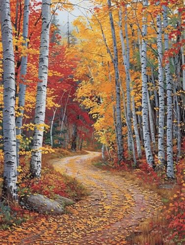 DIY 5D Diamond Painting Birkenwald,Landschaft 5D Diamant Painting Bilder Dame,Diamant Crystal Arts Basteln Cross Stickerei Malerei nach Zahlen,Daiments Painting Erwachsene Für Wanddeko 30x40cm B8530 von Reluehu