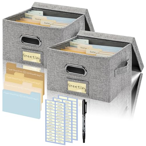 Remowith Grußkarten-Organizer und Aufbewahrungsbox mit 20 Verstellbaren Trennwänden, Aufbewahrungskarton mit 3 Aufklebern, Perfekt zum Aufbewahren von Grußkarten, Umschlägen, Fotos, 2 Packungen, Grau von Remowith