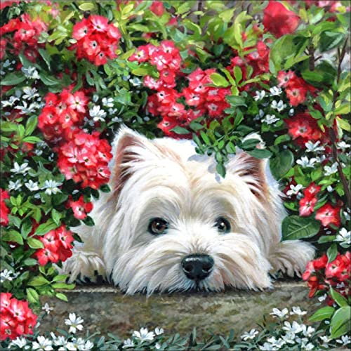 Reofrey 5D Diamond Painting Zubehör Hunde, DIY Full Dril Tiere Diamant Painting Bilder Set Diamant Malerei Vollbohrer, Kreuzstich Erwachsene Stickerei Crystal Strass Foto Craft Für Wall Home 35x35cm von Reofrey