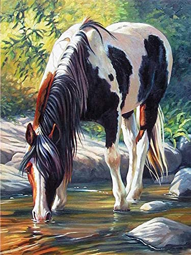 Reofrey 5D Diamond Painting Zubehör Pferde, DIY Full Dril Diamant Painting Bilder Set Diamant Malerei Vollbohrer, Kreuzstich Erwachsene Stickerei Crystal Strass Foto Craft Für Wall Home 30x40cm Reofrey 5D Diamond Painting Zubehör Pferde, DIY Full Dril Diamant Painting Bilder Set Diamant Malerei Vollbohrer, Kreuzstich Erwachsene Stickerei Crystal Strass Foto Craft Für Wall Home 30x40cm von Reofrey