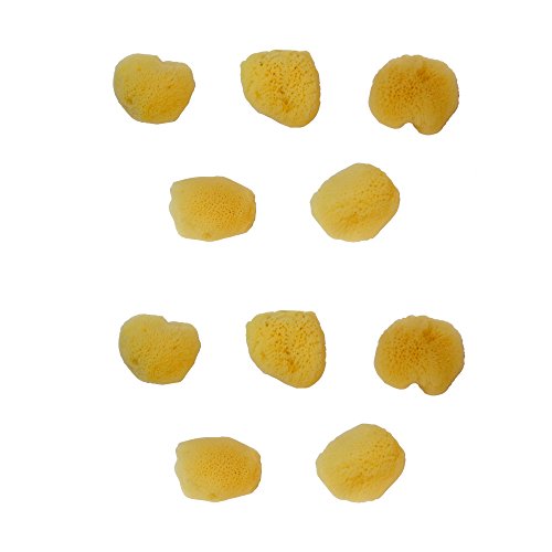 repino Malschwamm Naturschwamm, 10er Set Natur Aquarellschwämme - feinporig repino Malschwamm Naturschwamm, 10er Set Natur Aquarellschwämme - feinporig von Repino