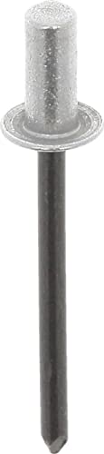 Restagraf Wasserdichte Nieten im Beutel für Windschutzscheiben-Zierleisten, 1,6 mm dick, 6 mm Länge, 100 Stück von Restagraf