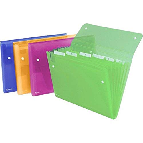 Rexel ICE Dokumentenmanager / Fächermappe (13 Fächer, Format A4) farbig sortiert von Rexel