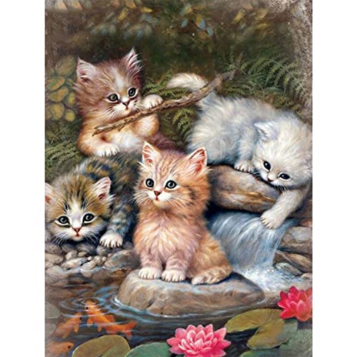 Rheskbecy Diamond Painting Set für Erwachsene ，DIY 5D Diamant Painting Katze, Malen nach Zahlen Diamant Anfänger，Home Wall Decor 30x40cm… von Rheskbecy