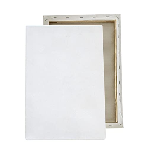 Rianpesn Leere Leinwand | 2 Stück Leinwandplatten - Künstlerleinwand aus Baumwolle zum Malen, grundierte weiße Leinwand, für Acryl, Ölfarbe, nasse oder trockene Kunstmedien Rianpesn Leere Leinwand | 2 Stück Leinwandplatten - Künstlerleinwand aus Baumwolle zum Malen, grundierte weiße Leinwand, für Acryl, Ölfarbe, nasse oder trockene Kunstmedien von Rianpesn