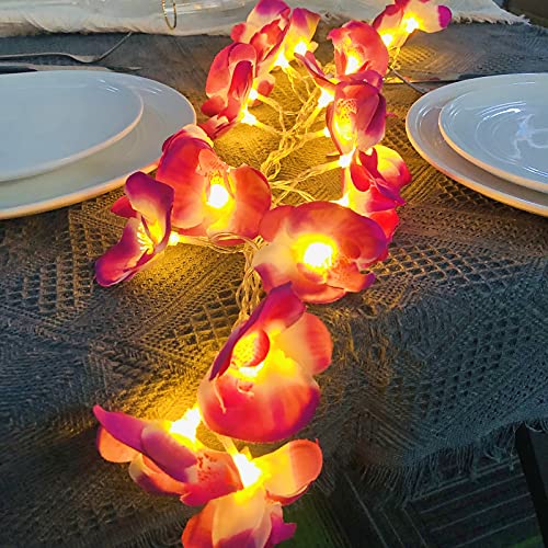 Künstliche Phalaenopsis Blume LED-Lichterkette Schaum Phalaenopsis Girlande Feen-Nachtlichter für die Weihnachtsfeier Home Wedding Beach Decor (Z-Phalaenopsis Lila, 3m/20LED) von Riaxuebiy