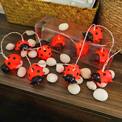 Niedliche Marienkäfer Nachtlichter Marienkäfer-Lichterketten Marienkäfer-Lichterketten Batteriebetrieben für Kinder Schlafzimmer Zuhause Weihnachten Feiertags Dekoration (1.65M/10LED, Marienkäfer) von Riaxuebiy