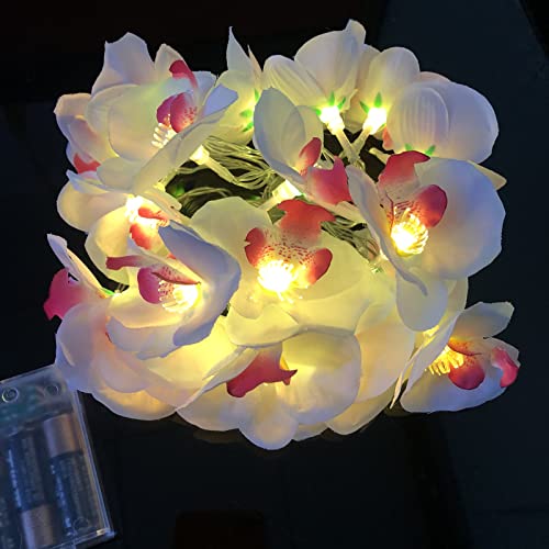 Phalaenopsis Lichterkette, 9,8 ft, 20 Lichterkette, künstliche Orchidee, LED, batteriebetrieben, für Muttertag, Hochzeit, warmes weißes Licht (Rosa) von Riaxuebiy