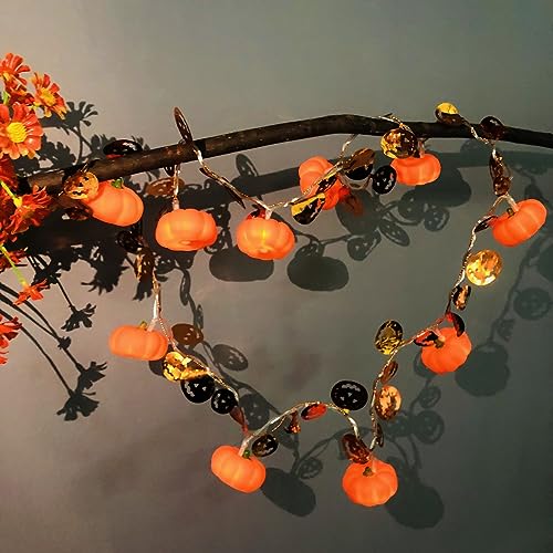 Riaxuebiy 10LED Kürbis Lichterkette - 1.65m Länge - Süße Nachtlicht für Kinder mit Warmweißem Licht - Kürbisgirlande Lichter Kette (1.65m/10led) von Riaxuebiy