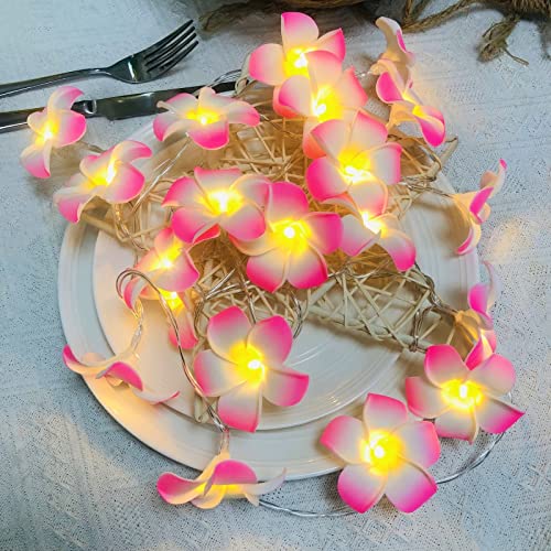 Riaxuebiy Künstliche Plumeria Blume Lichterketten,3 M 20 LED Warmweiß USB Betrieben, Dekorative Frangipani Lichterketten für Geburtstag Party Hochzeit Festival (USB Betrieben, Rosa) von Riaxuebiy