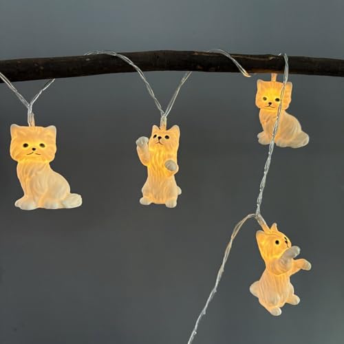 Riaxuebiy Weiße Katze Lichterkette, 1,65 m10 Warmweiße LEDs Batteriebetrieben mit Timer Perserkatze Nachtlicht für Innenbereich,Kinderzimmer Weihnachten (Weiße Katze-A) von Riaxuebiy
