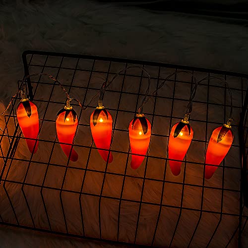 Riaxuebiy Rot Chili Lichterketten 10M 80 LED Seil Feen Nachtlicht Pfeffer Chili Lampen USB Powered Warmweiß für Weihnachten Hochzeit Urlaub Party Dekoration (Chili-A, USB) von Riaxuebiy