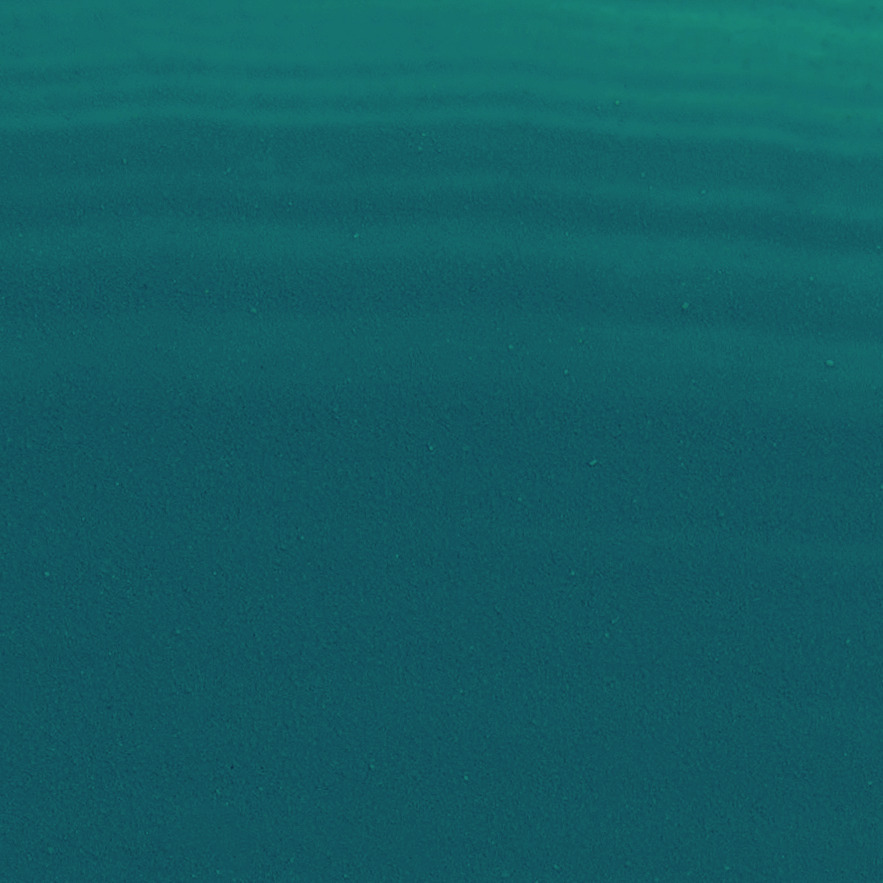 Home Acrylic von Rico Design