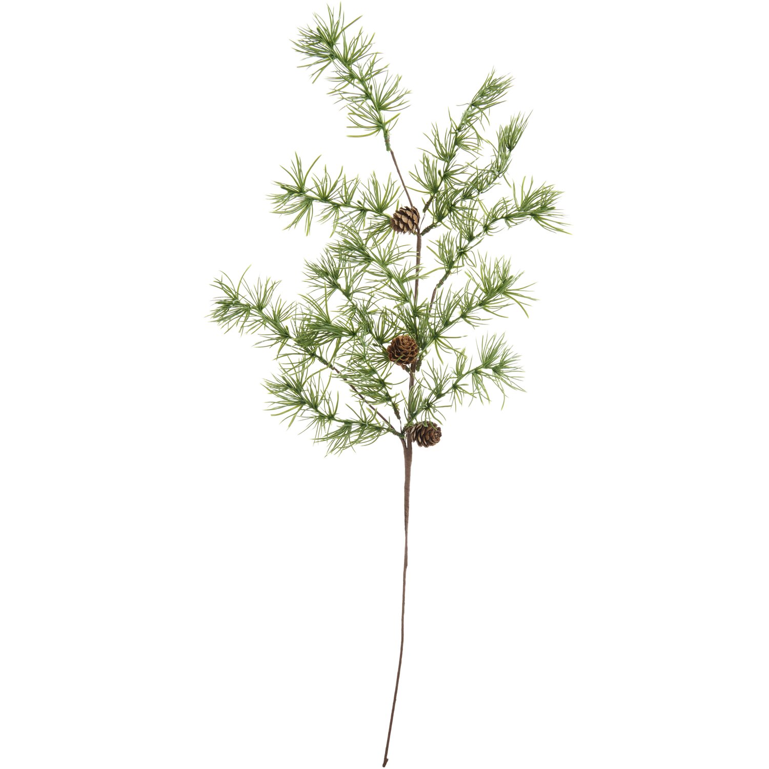 Lärchenzweig mit Zapfen von Rico Design