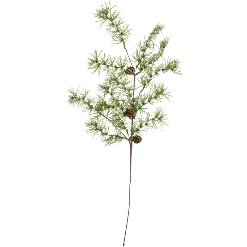 Lärchenzweig mit Zapfen Lärchenzweig mit Zapfen von Rico Design