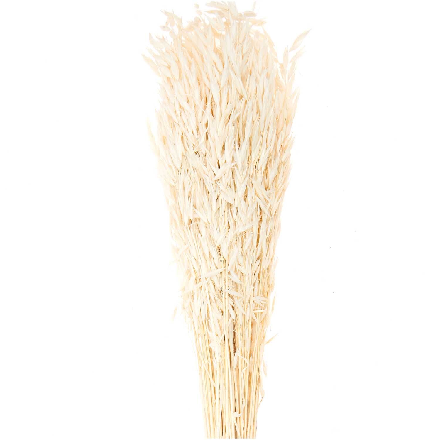 Getrockneter Hafer natur 60-75cm 100g Getrockneter Hafer natur 60-75cm 100g von Rico Design