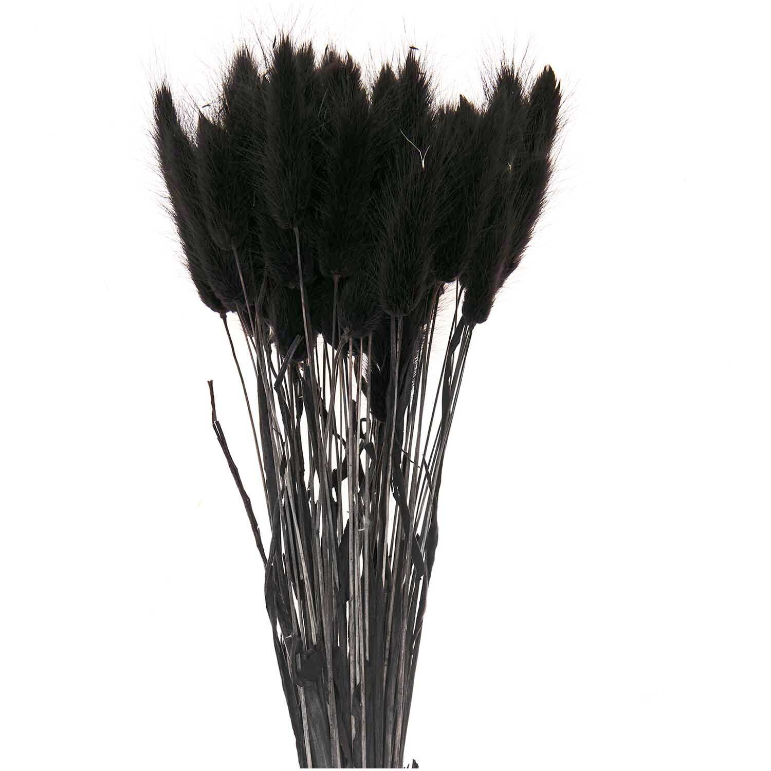 Getrockneter Lagurus schwarz ca. 40cm 50 Stück Getrockneter Lagurus schwarz ca. 40cm 50 Stück von Rico Design