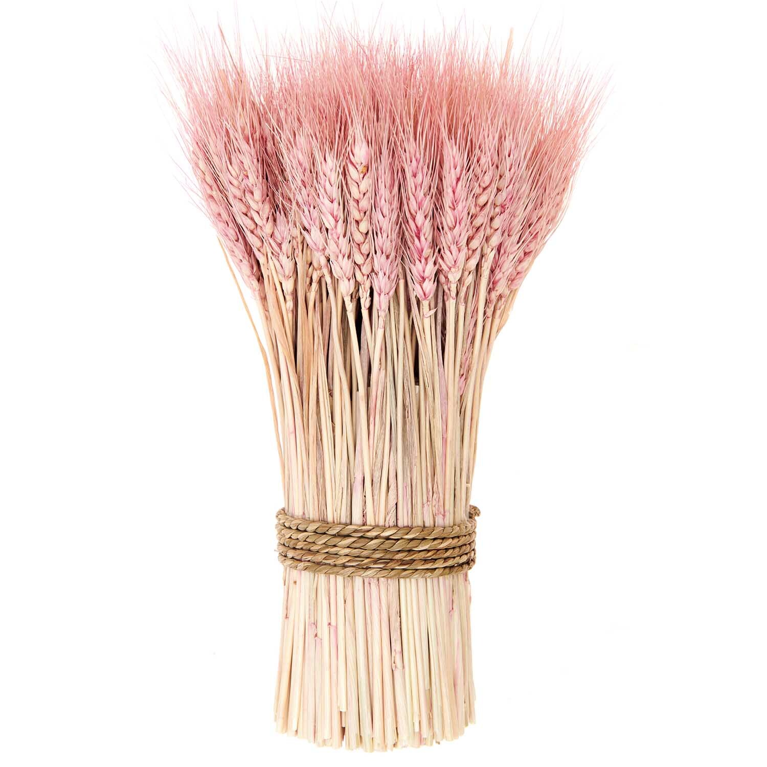 Getrockneter Weizenbund pink 30cm 150g Getrockneter Weizenbund pink 30cm 150g von Rico Design