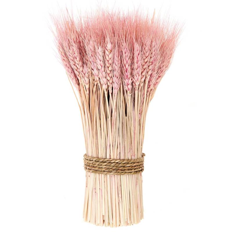Getrockneter Weizenbund pink 30cm 150g von Rico Design
