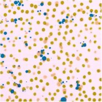 Musselin-Druckstoff Crafted Nature Punkte Rosa-Oliv 140cm Musselin-Druckstoff Crafted Nature Punkte Rosa-Oliv 140cm von Rico Design