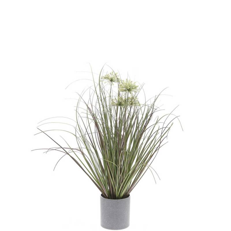 Rico Design Dünengras im Topf 43cm Rico Design Dünengras im Topf 43cm von Rico Design