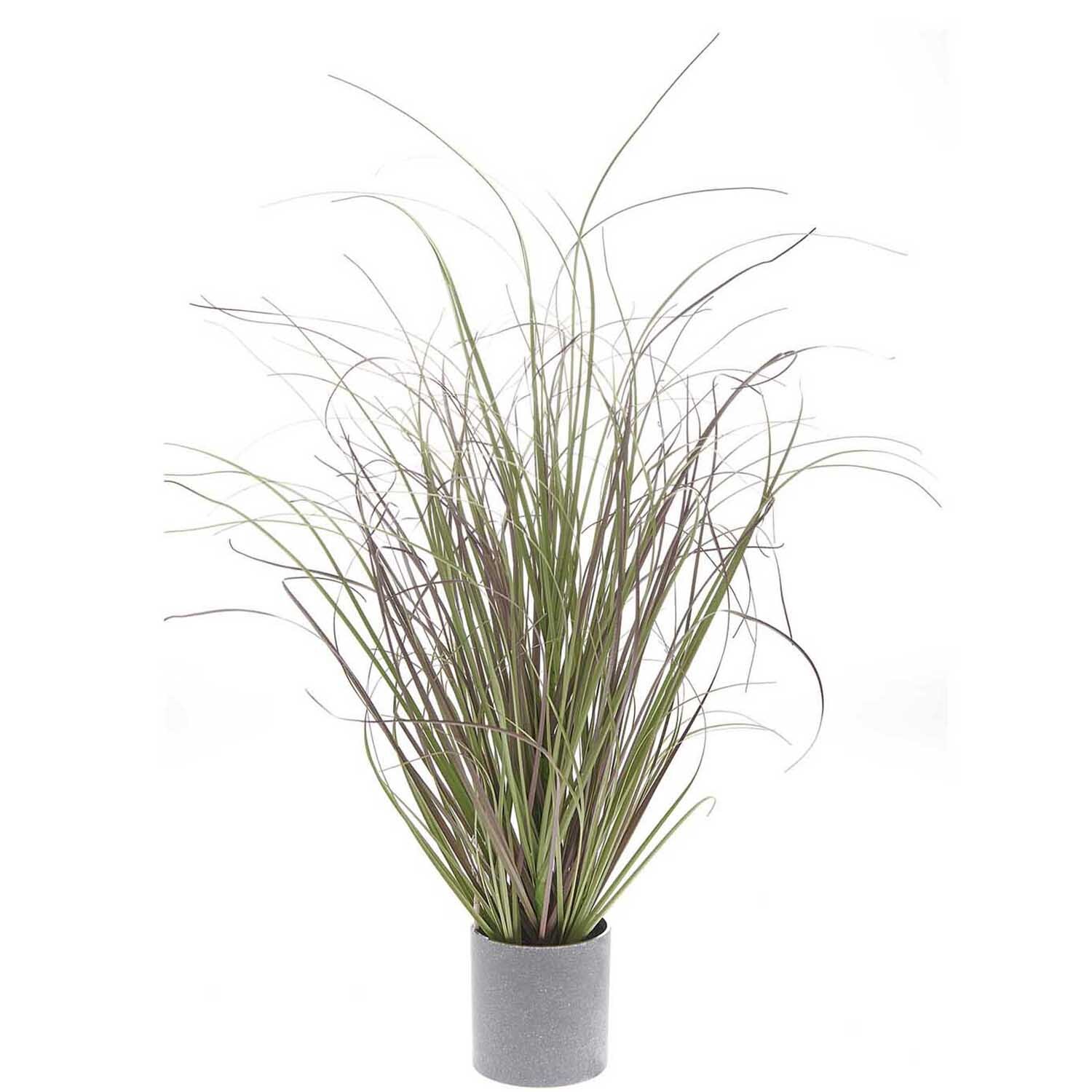 Dünengras im Topf 53cm Dünengras im Topf 53cm von Rico Design