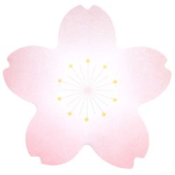 Paper Poetry Haftnotizen Kirschblüte rosa-weiß 50 Blatt 80x76mm Paper Poetry Haftnotizen Kirschblüte rosa-weiß 50 Blatt 80x76mm von Rico Design