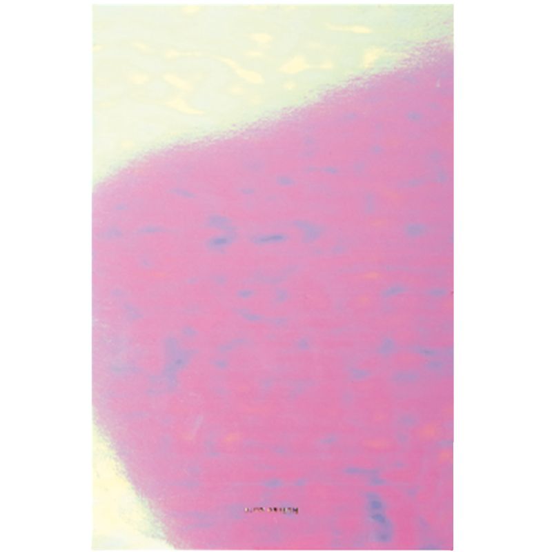 Paper Poetry Notizblock irisierend A5 50 Blatt 100g/m² Paper Poetry Notizblock irisierend A5 50 Blatt 100g/m² von Rico Design