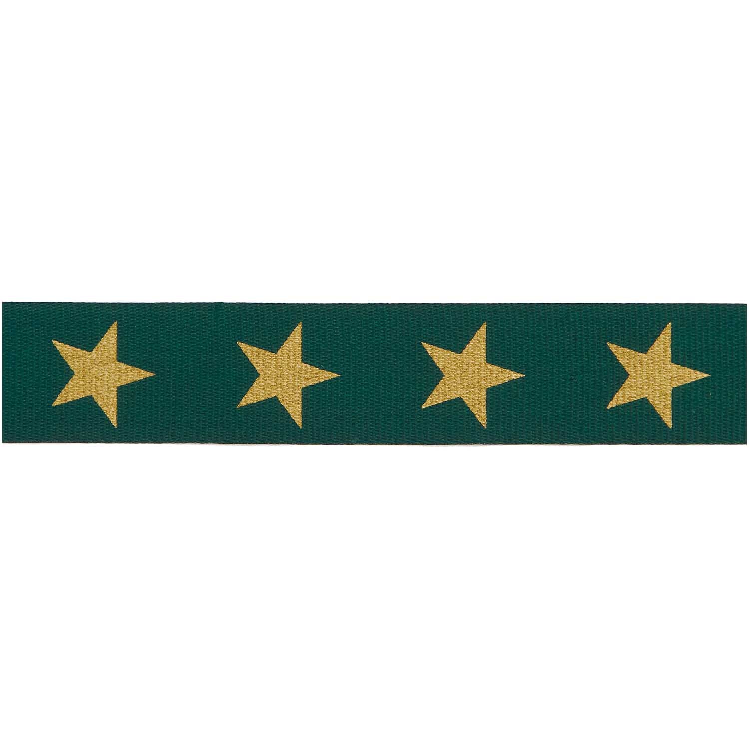 Paper Poetry Taftband Sterne 16mm 3m von Rico Design