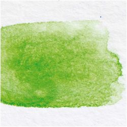 ART Künstler Aquarellfarbe halbes Näpfchen von Rico Design